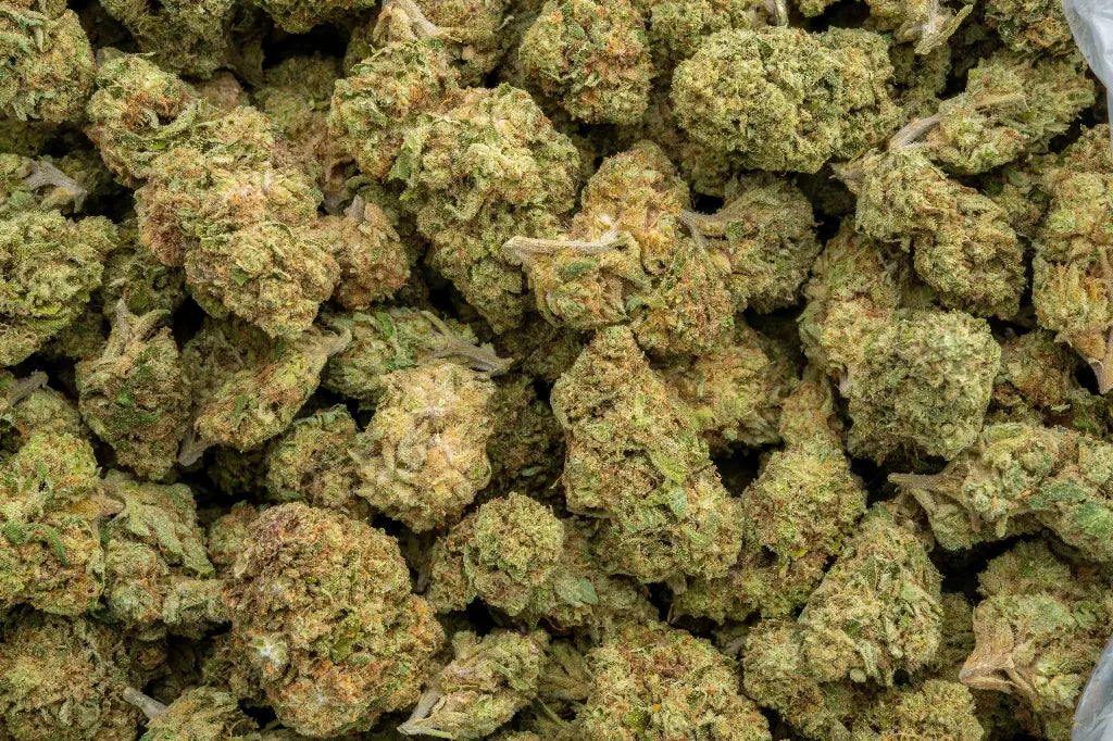 Sweet Melon LB - CannaBiomeHempCo