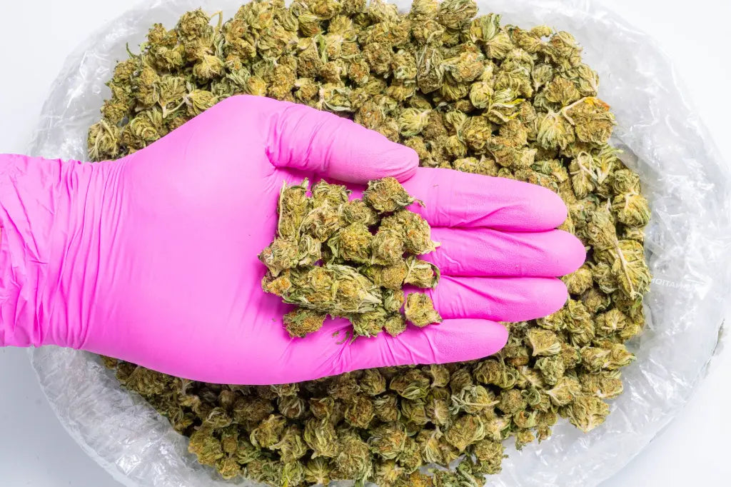 Bubba Smalls (CBD) LB - CannaBiomeHempCo