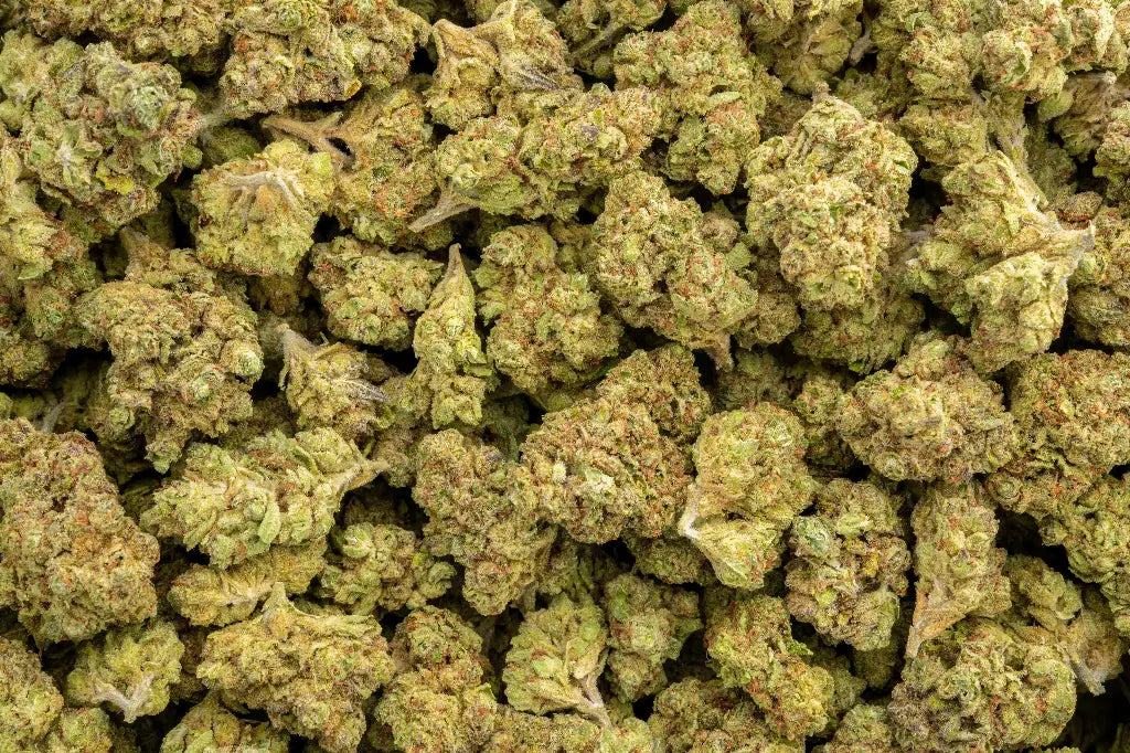 Red Velvet LB - CannaBiomeHempCo