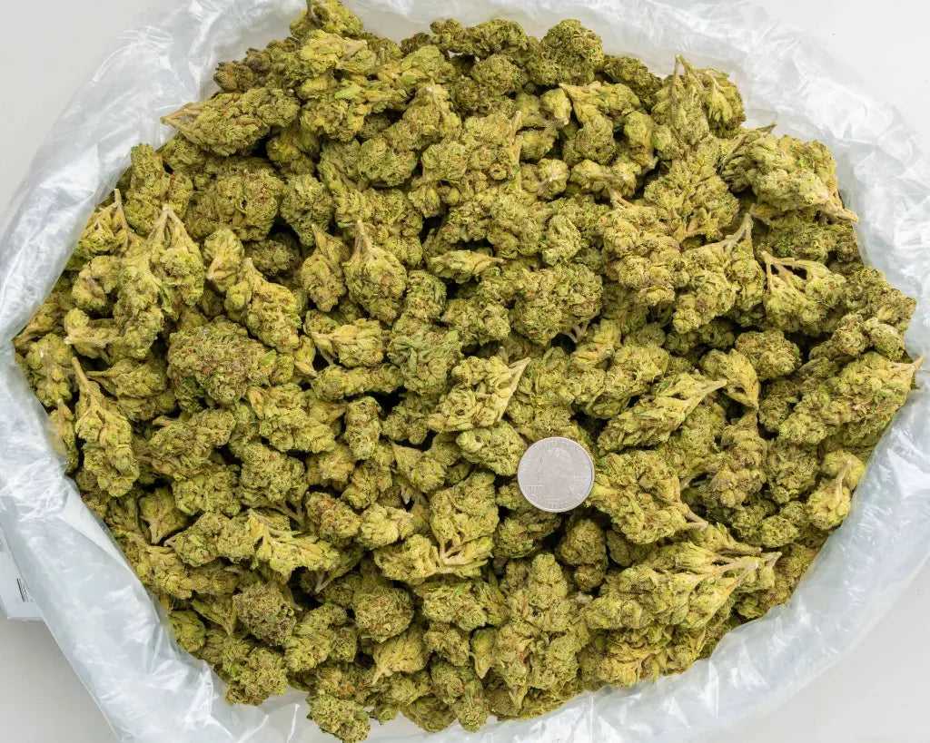 Lantz LB - CannaBiomeHempCo