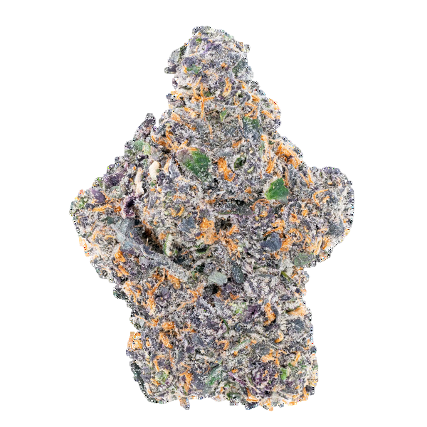 White Truffle 1 oz CannaBiomeHempCo