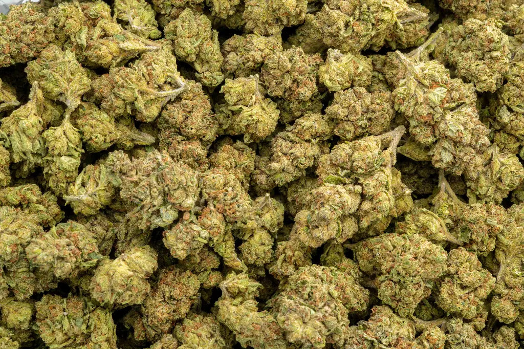 Space Kush LB - CannaBiomeHempCo