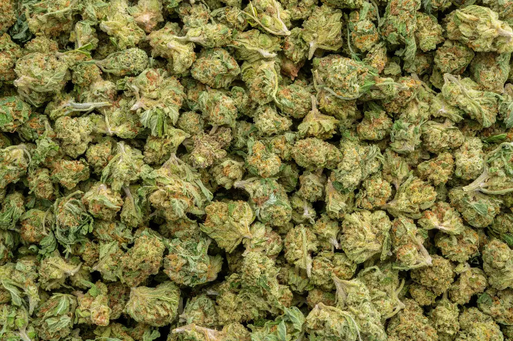 High Society Smalls LB - CannaBiomeHempCo