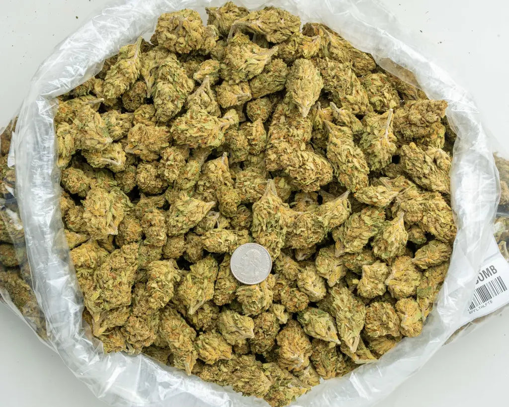 Patrol Bomb LB - CannaBiomeHempCo