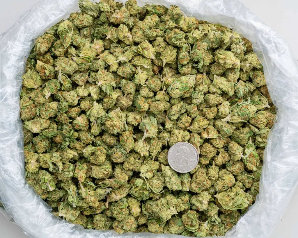 High Society Smalls LB - CannaBiomeHempCo