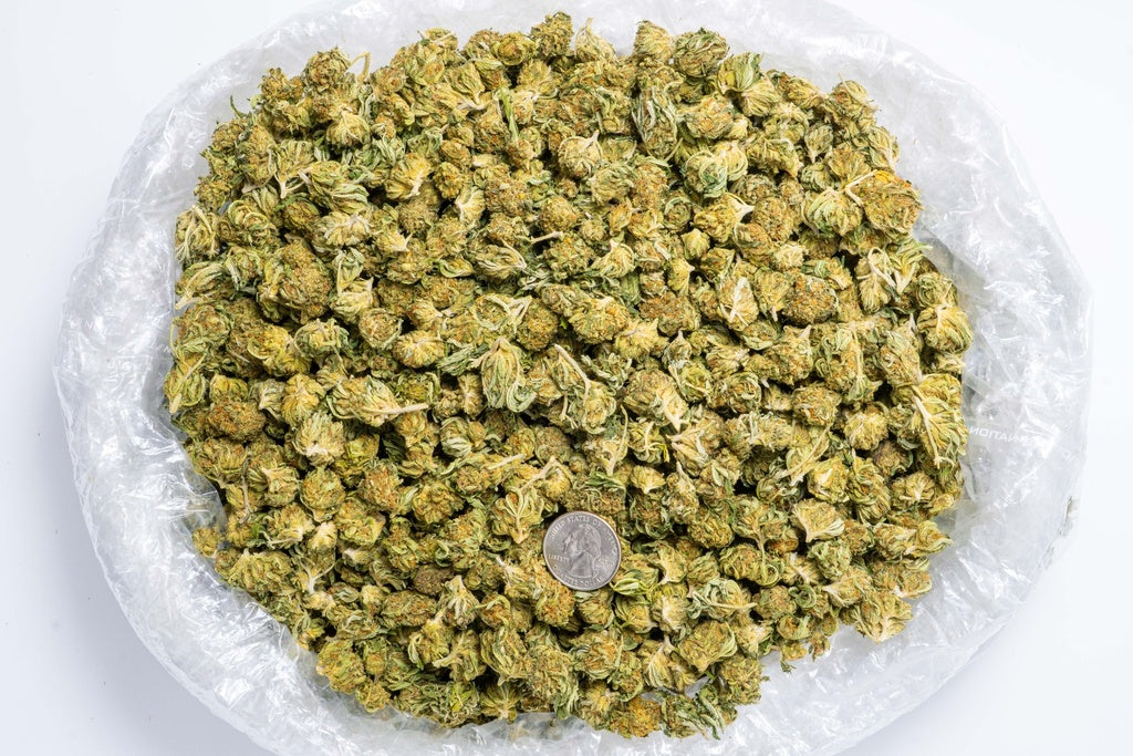 Bubba Smalls (CBD) LB - CannaBiomeHempCo