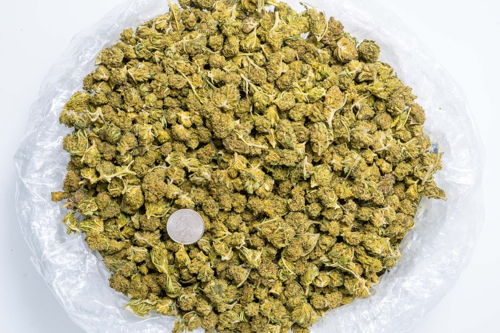 Fruity Pebbles Smalls (CBD) - CannaBiomeHempCo