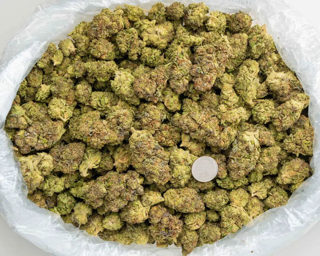 Garlic Truffle LB - CannaBiomeHempCo