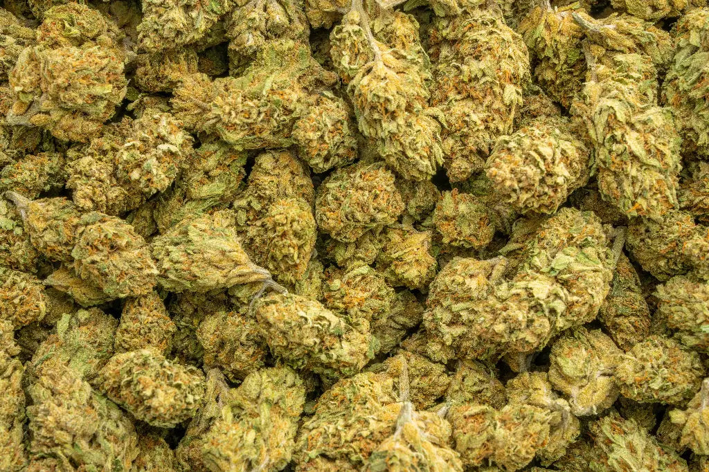 Patrol Bomb LB - CannaBiomeHempCo