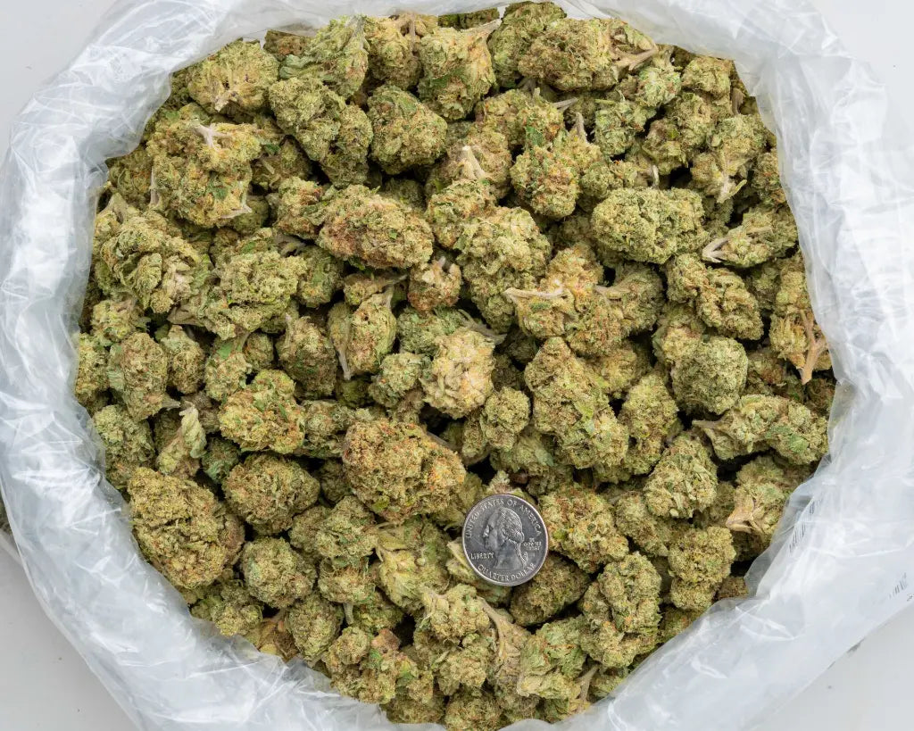 Sweet Melon LB - CannaBiomeHempCo