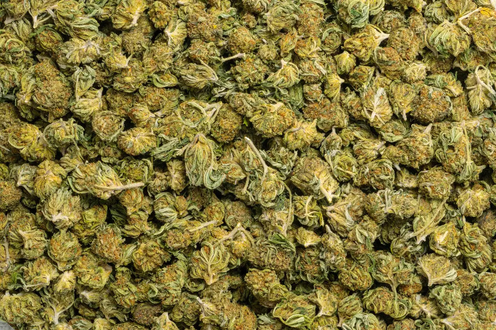 Bubba Smalls (CBD) LB - CannaBiomeHempCo