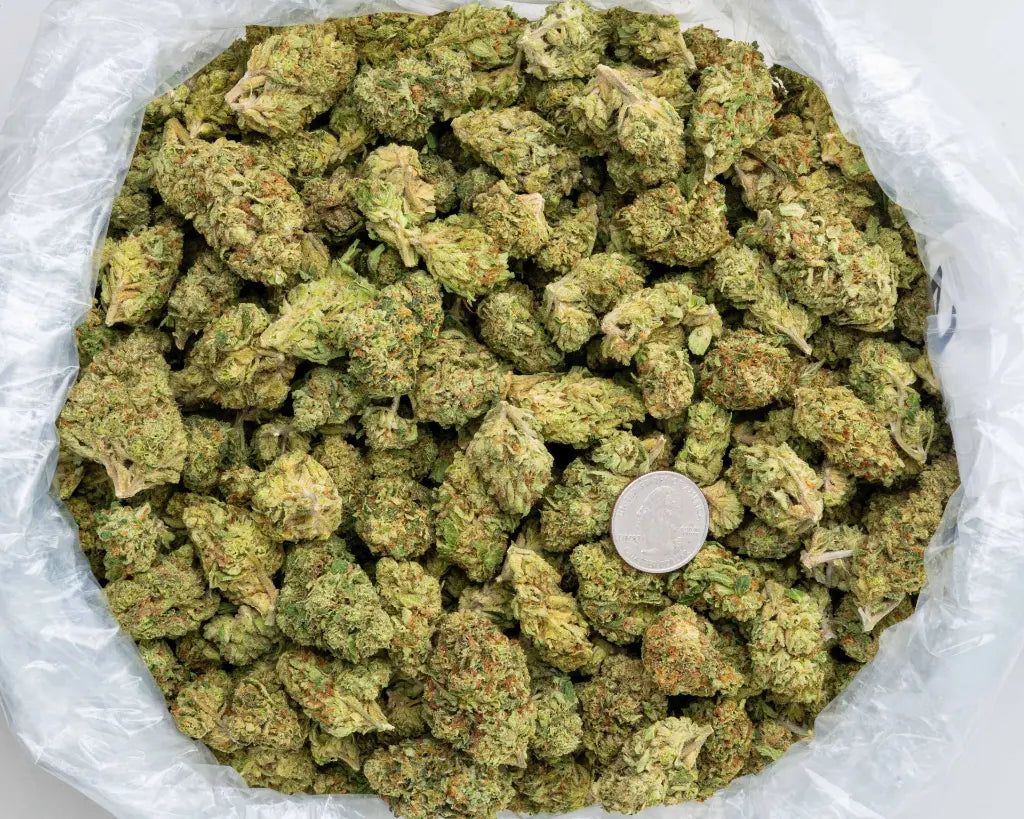 Gelato - LB - CannaBiomeHempCo