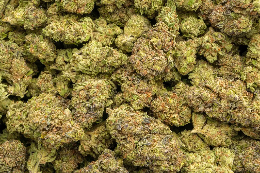 Garlic Truffle LB - CannaBiomeHempCo